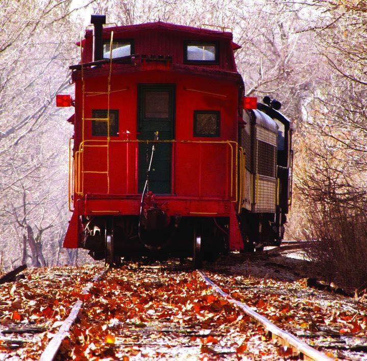 caboose-2.jpg